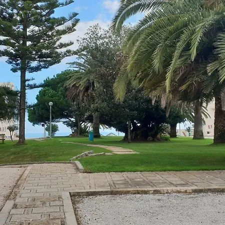 Paradise - Iberlagos